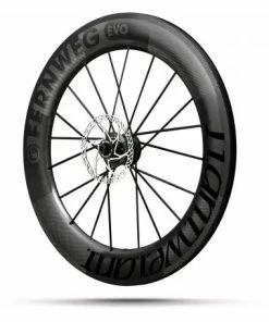 Roue Arrière LIGHTWEIGHT FERWEG EVO Schwarz Edition Disque Tubeless