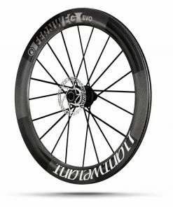 Roue Arrière LIGHTWEIGHT FERWEG EVO Disque Tubeless
